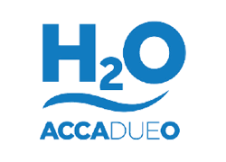 logo Accadueo 2024