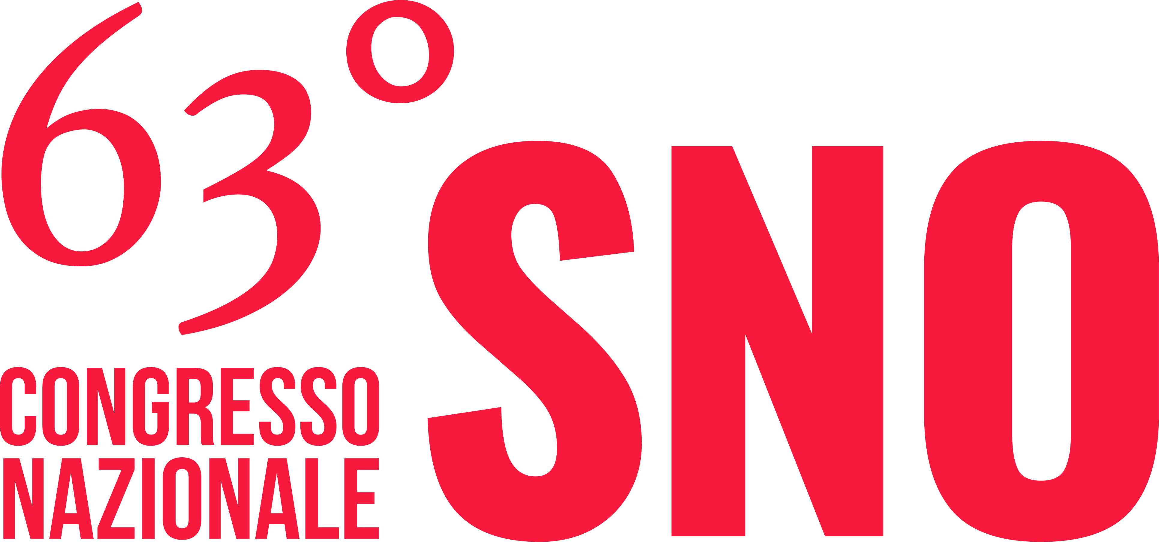 logo Congresso Nazionale Scienze Neurologiche Ospedaliere